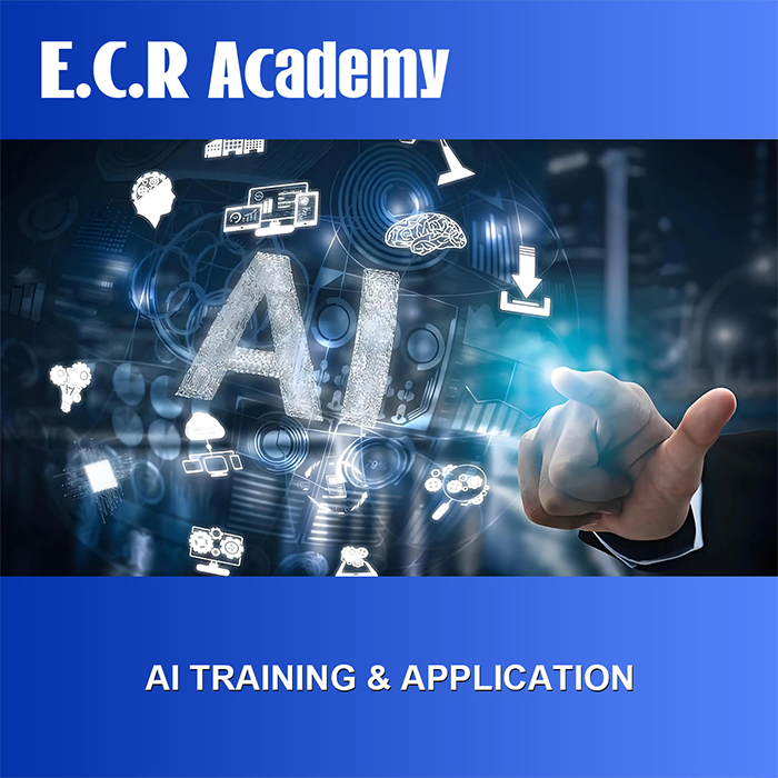 AI Training & Application